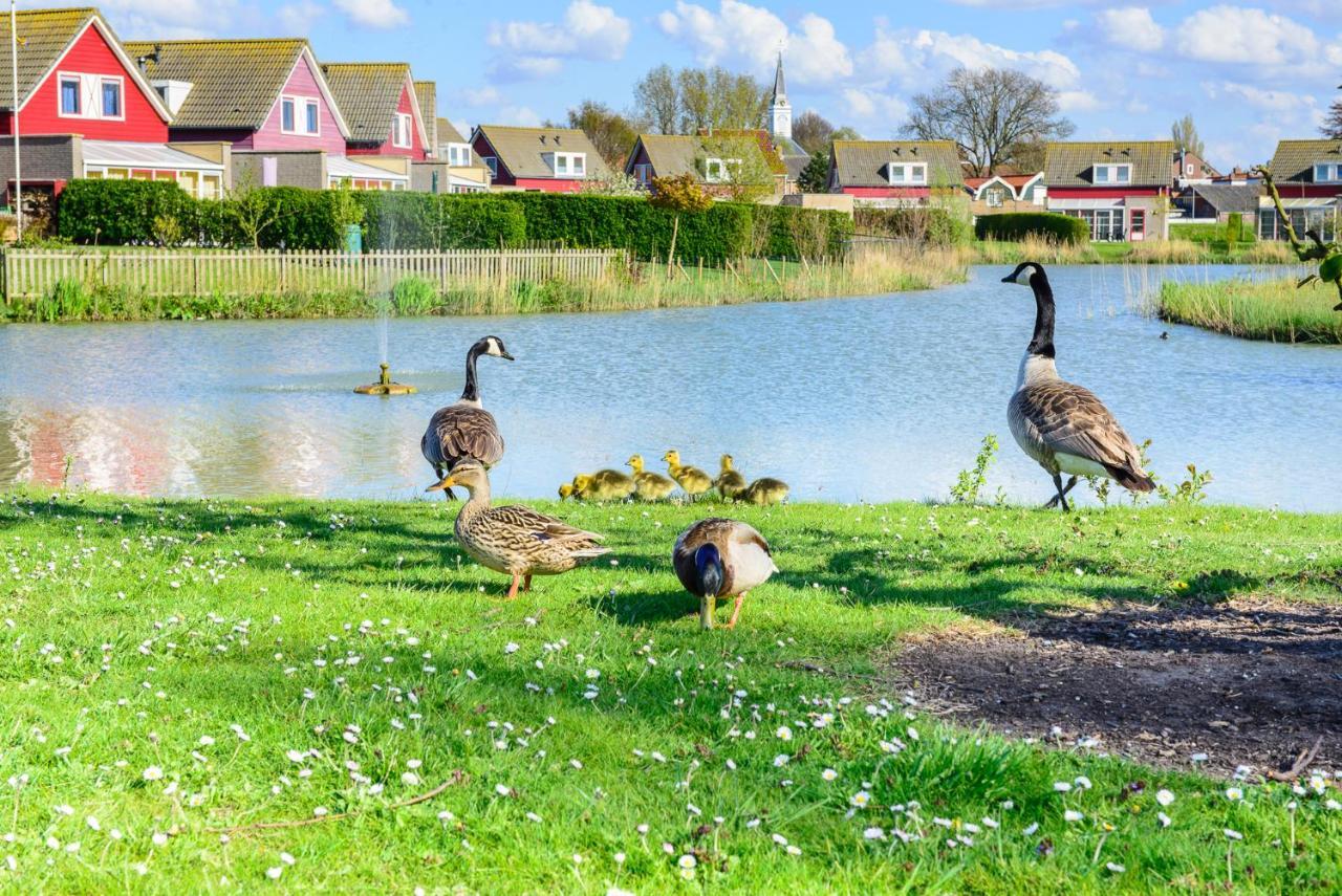 Grimaud 151 - Kustpark Village Scaldia Hoofdplaat Kültér fotó